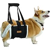 Dog Lift Harness Sling for Medium Dogs - Adjustable No-Slip Rear Leg Support with Padding & Back Fixed Buckle, Hip Dysplasia/ACL/TPLO Surgery Recovery Aid, Dog Sling for Injured,Disabled/Senior Dogs
