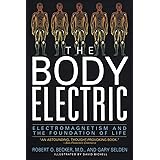 The Body Electric: Electromagnetism And The Foundation Of Life