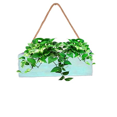 LIVEONCE Wood Box Planter Hanging -Color-Blue