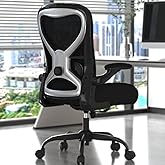 CASASIO Office Desk Chair with Ergonomic Lumbar Support, Extra-Thick Seat Cushion, Flip-up Arms, Breathable Mesh Back, Computer Task Chair for Home Office