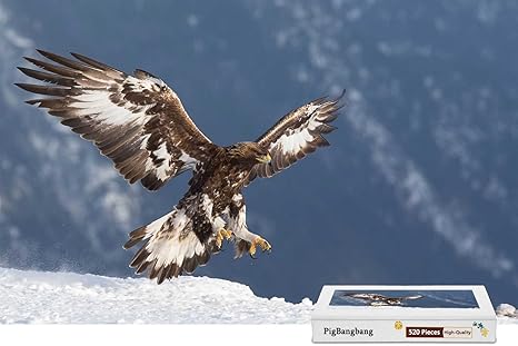 Amazoncom Pigbangbangintellectiv Games Photomosaic Jigsaw