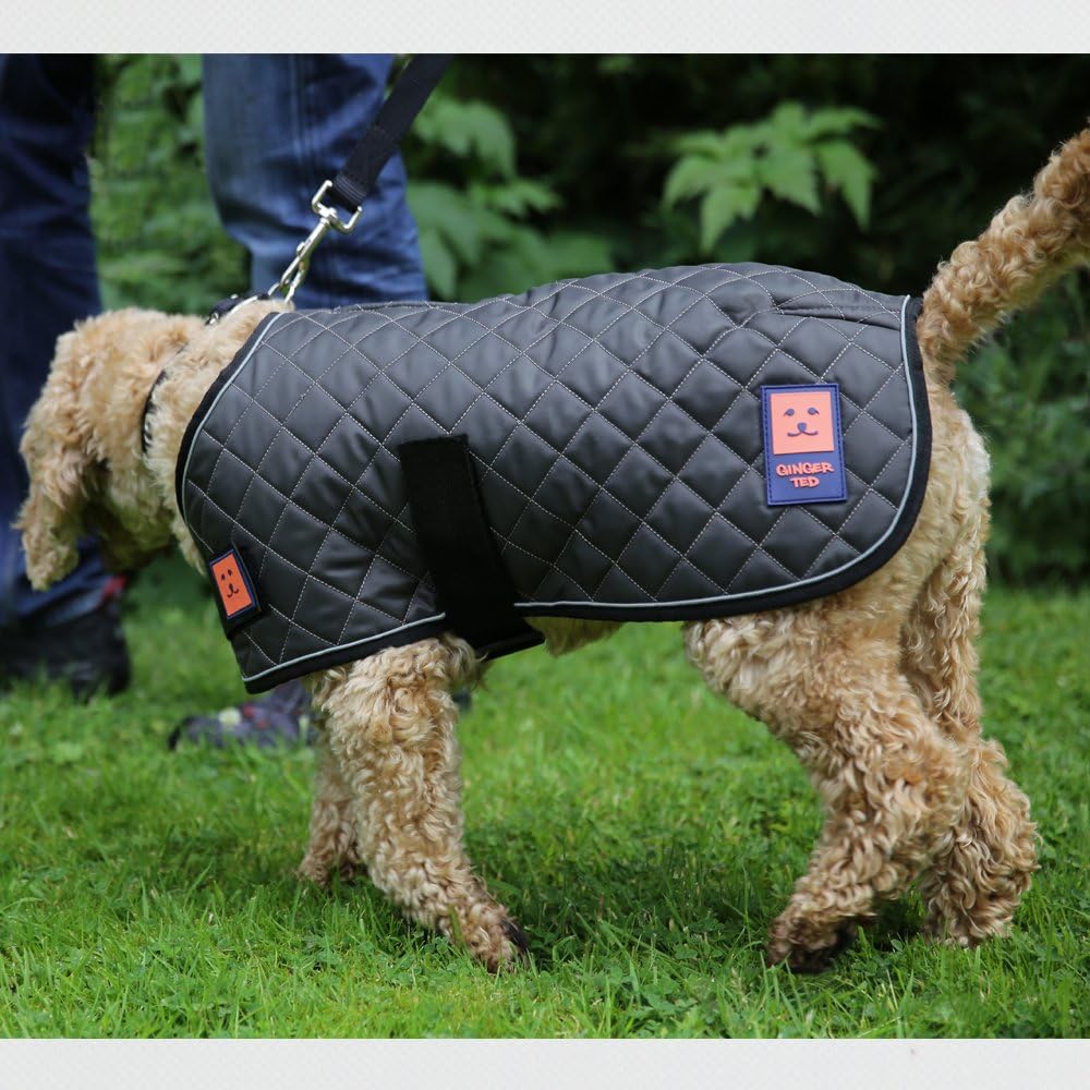 Ginger Ted Warm Quilted Dog Coat with Harness Slot Medium size 16inch