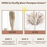 Shakeel Natural Dried Pampas Grass 65Pcs Fluffy Bouquet UK Brand view 2