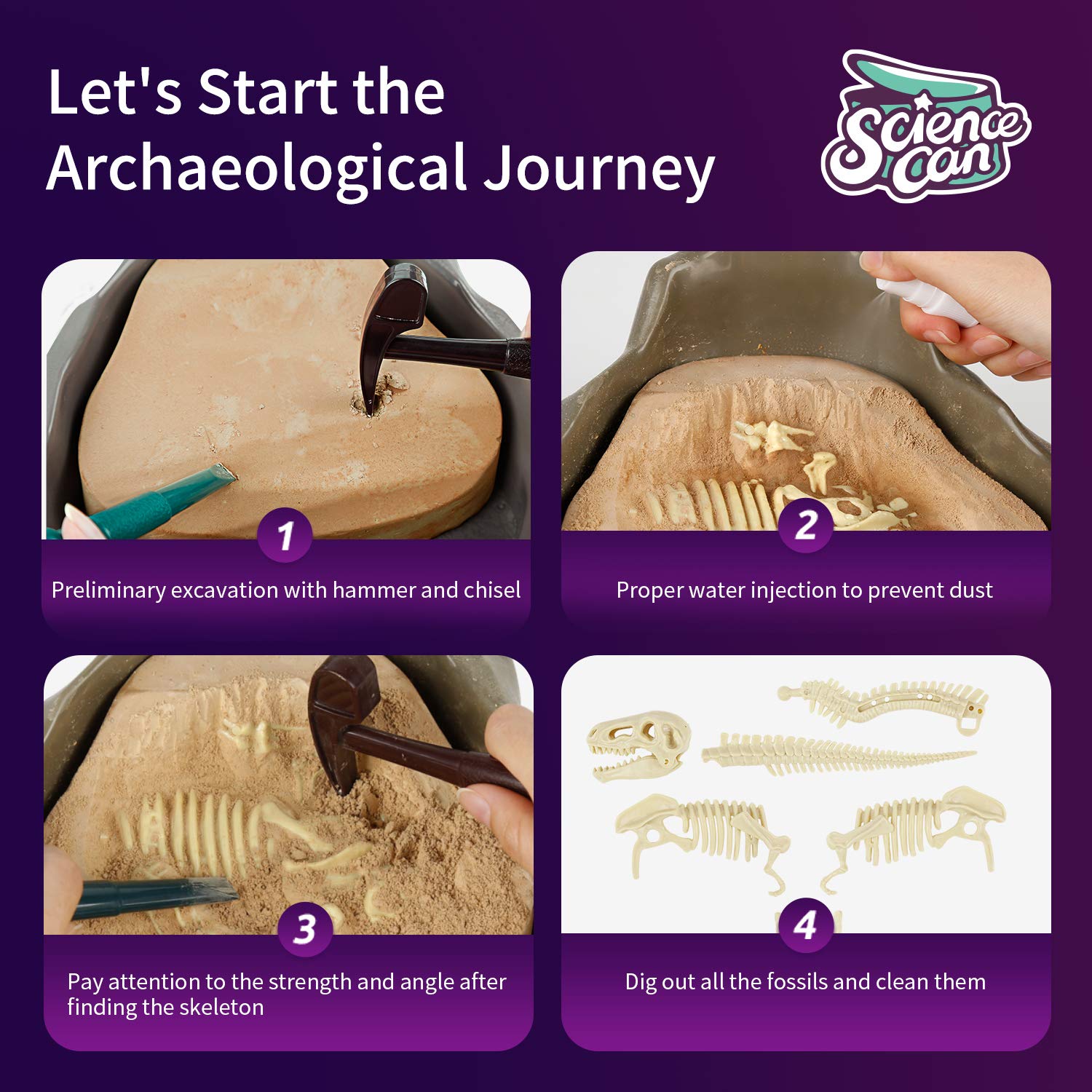 Mua Science Can Dinosaur Digging Fossil Kit for Kids, Dinosaur Bones ...