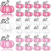Hicarer 27 Pieces Fall Pumpkin Charms Alloy Pendants DIY Halloween Charms Jewelry Making Accessory for Thanksgiving Earring Bracelet Necklace(Pink, Light Pink, White with Silver Topper)