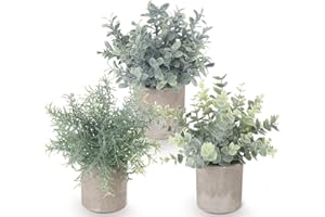 Lemonfilter Set of 3 Mini Potted Artificial Plants Plastic Eucalyptus Plants Faux Rosemary Plants for Home Garden Office Desk Shower Room Decoration
