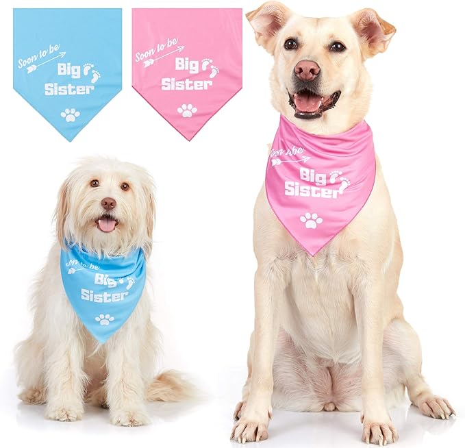 Whoa Dog E Red Plaid Big Sister Dog Bandana Pet Neckwear Pet Supplies