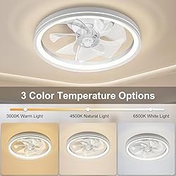 20In Low Profile Ceiling Fans with Lights, Modern