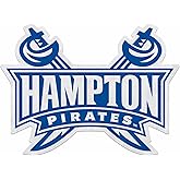 Rico Industries NCAA Hampton Pirates Shape Cut Pennant - Home and Living Room Décor - Soft Felt EZ to Hang