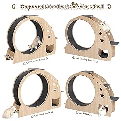 5-in-1 Cat Wheel,Cat Exercise Wheel,41.3" High