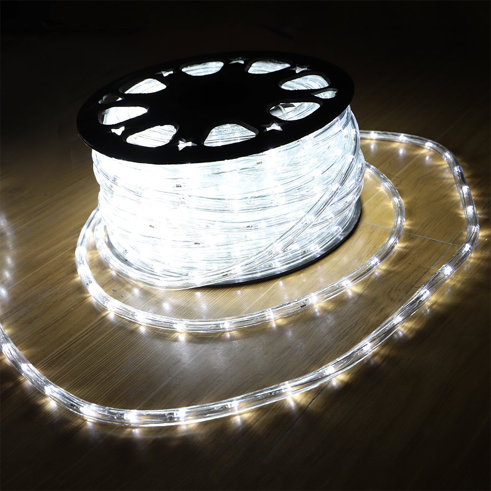 DINGFU Upgraded 100ft Low Voltage 2Wire Waterproof LED Outdoor Rope