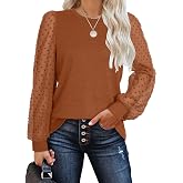 WIHOLL Long Sleeve Shirts for Women Tops Tunic Fall Trendy Crew Neck Clothes