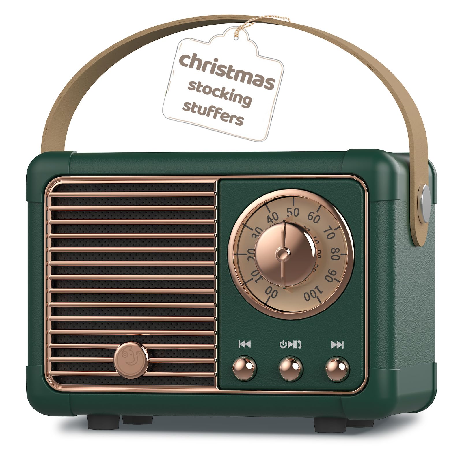 prunus J-999 Mini Retro Bluetooth Speaker with FM Radio, Rechargeable, Bluetooth 5.0/Superior Sound, Supports USB/TF/AUX/Hands-Free Calls (Green)