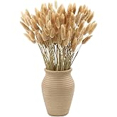 MIHUAGE Dried Rabbit Tail Grass Plant,120PCS-17inch Bunny Tail Pampas Grass Natural Dry Lagurus ovatus for Boho Home Wedding