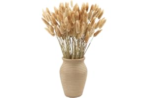 MIHUAGE Dried Rabbit Tail Grass Plant,120PCS-17inch Bunny Tail Pampas Grass Natural Dry Lagurus ovatus for Boho Home Wedding 