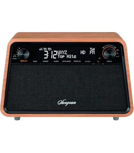 Amazon.com: Tivoli Audio Albergo Bluetooth Clock Radio