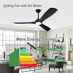 BvenuBigLite Black Ceiling Fan with Light: 3 Blades