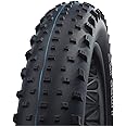 Schwalbe Jumbo Jim Evo Fatbike Faltreifen // 100-559 (26x4,0') Super Ground