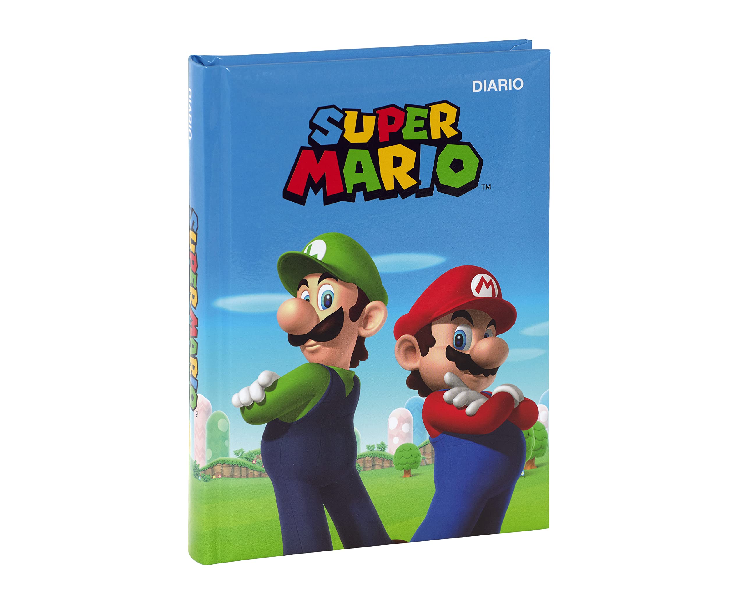 SUPERMARIO STANDARD 12 MONTHS DIARY