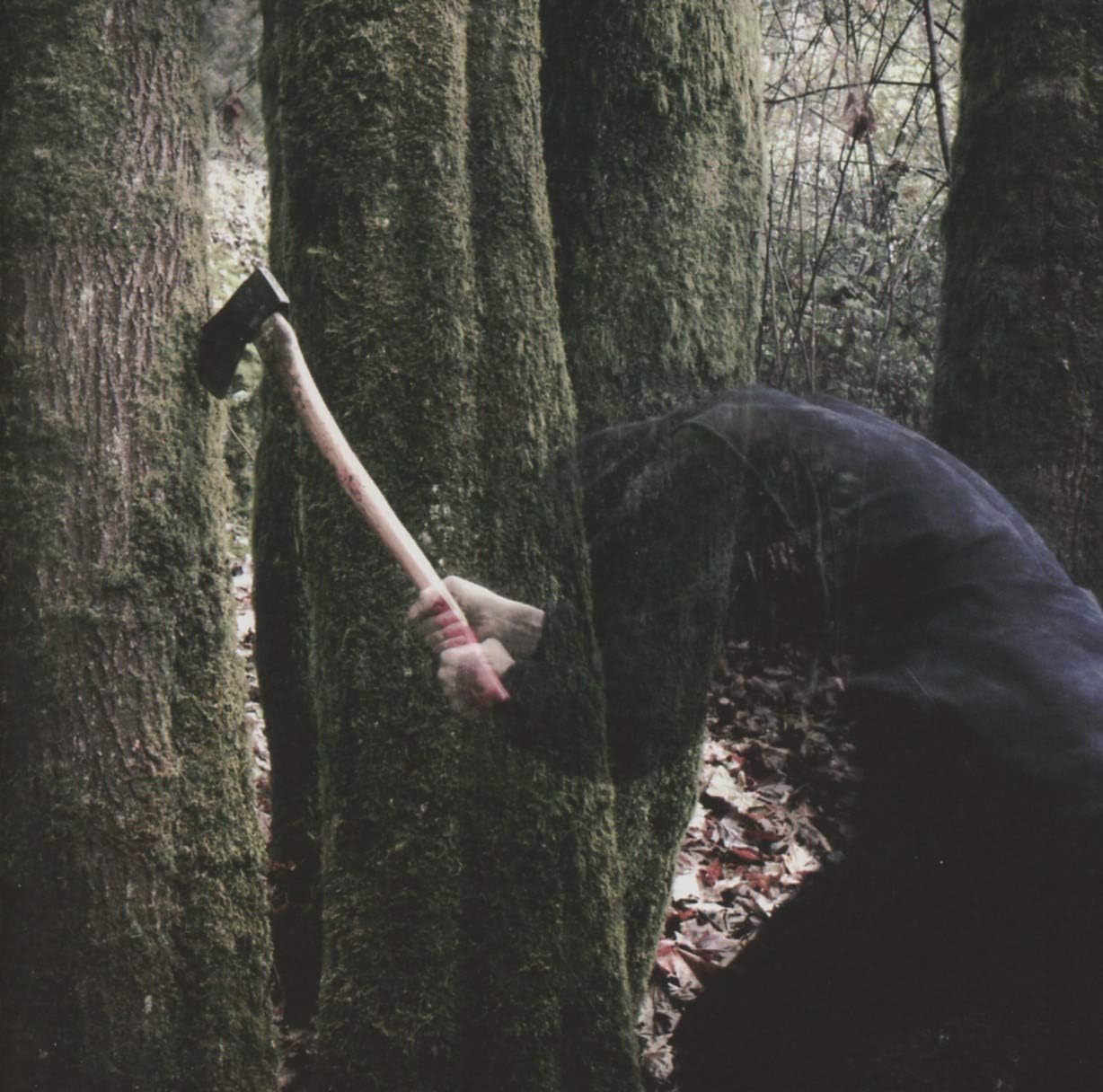 Bushcraft