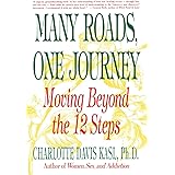 Many Roads One Journey: Moving Beyond the 12 Steps