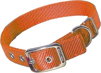 mango dog collar