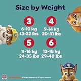 Pampers Baby-Dry Paw Patrol Edition Size 4 222 Nappies 9kg-14kg view 8