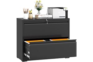 DARTIIA 2 Drawer Lateral File Cabinet with Lock, Metal Filing Cabinets for Home Office, Steel Storage Wide File Cabinet for Letter/Legal/F4/A4 Size with Hanging Bars(Black)