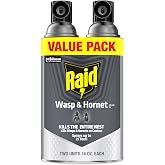 Raid Wasp &amp; Hornet Killer, Outdoor Flying Insect Spray, 14oz, 2 Count | Kills Wasps &amp; Hornets on Contact, Sprays Up to 22 Feet