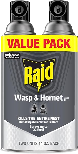 Raid Wasp & Hornet Killer Spray, Bug Killer, Wasp and Hornet Spray Kills the Entire Nest, 14 Oz, 2 Count