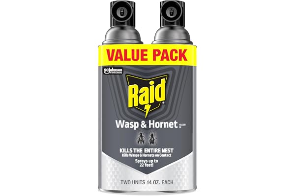 Raid Wasp & Hornet Killer Spray, Bug Killer Kills the Entire Nest, 14 Oz, 2 Count