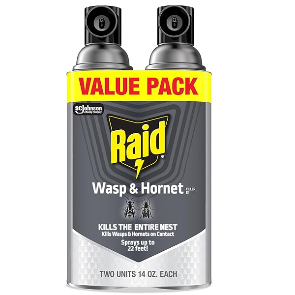 RAID WASP & HORNET KILLER SPRAY, BUG KILLER...