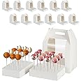 Yinlinsta Cake Pop Boxes - 12 Pcs Portable Candy Boxes with Clear Window & 18 Holes Tall Display Carriers for Lollipops, Candy Pops (White)