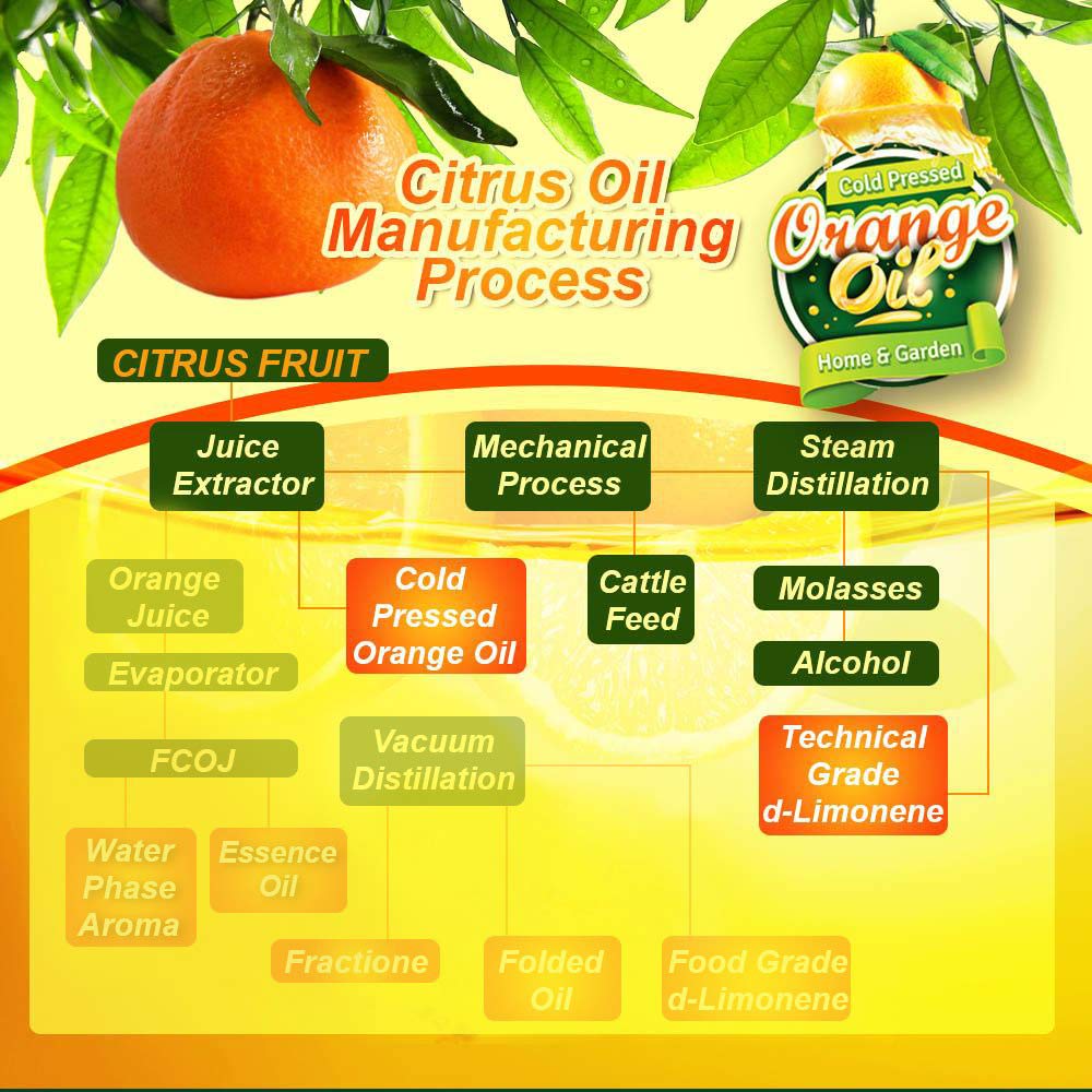 Pure Cold Pressed ORANGE OIL Concentrate 32 oz (DLimonene