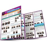 American Sign Language Conversation: a QuickStudy Laminated Reference Guide (Quick Study Academic)