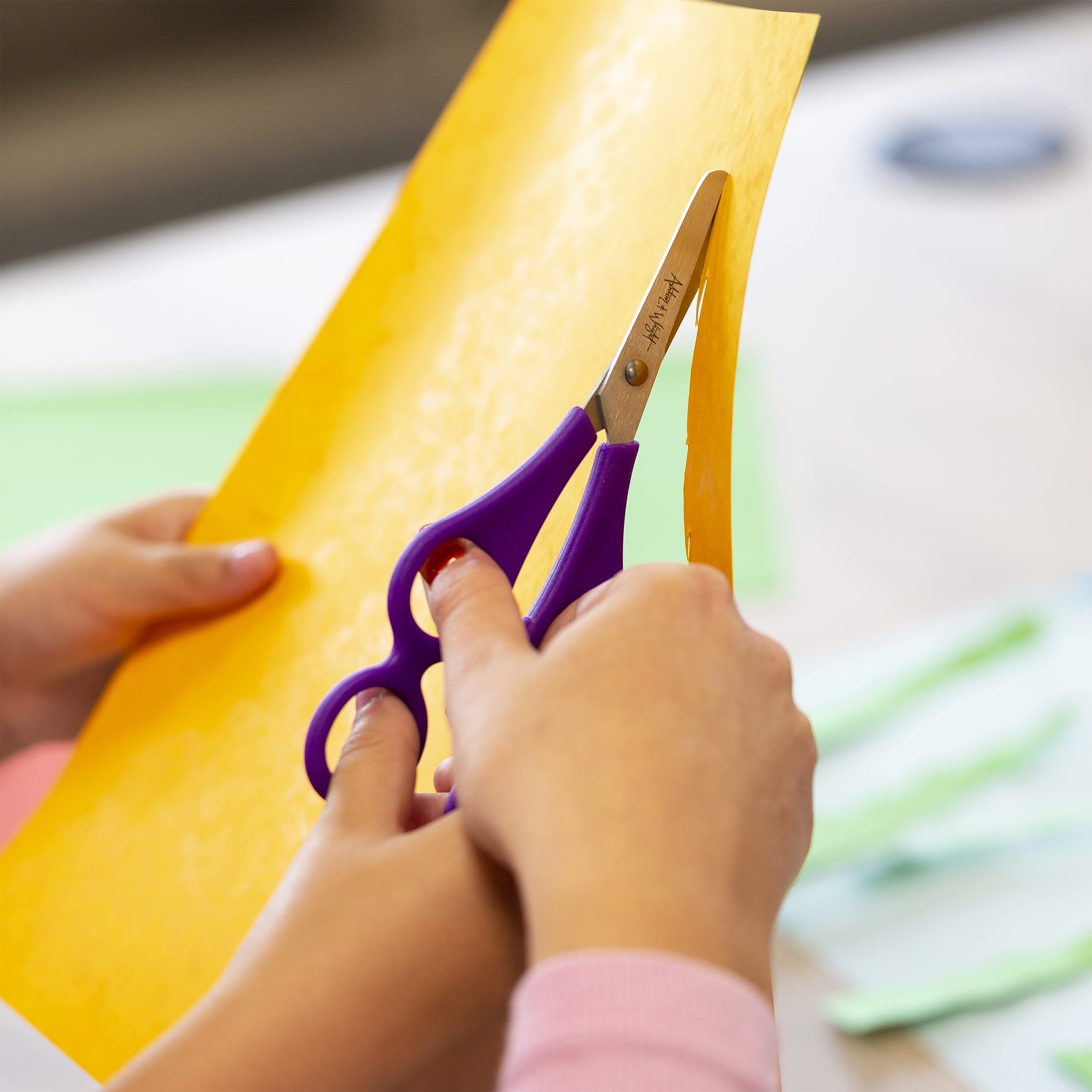 Ashton and Wright - Children's Double Hole Training Scissors - Purple - Right Handed (1)