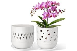 LITUDISO Orchid Pots, 5+6 Inch, White, Ceramic, Aerated, Indoor/Outdoor, 7 Inch Width/Height, 2 Pack