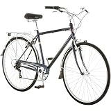 Amazon.com : Schwinn Wayfarer Adult 