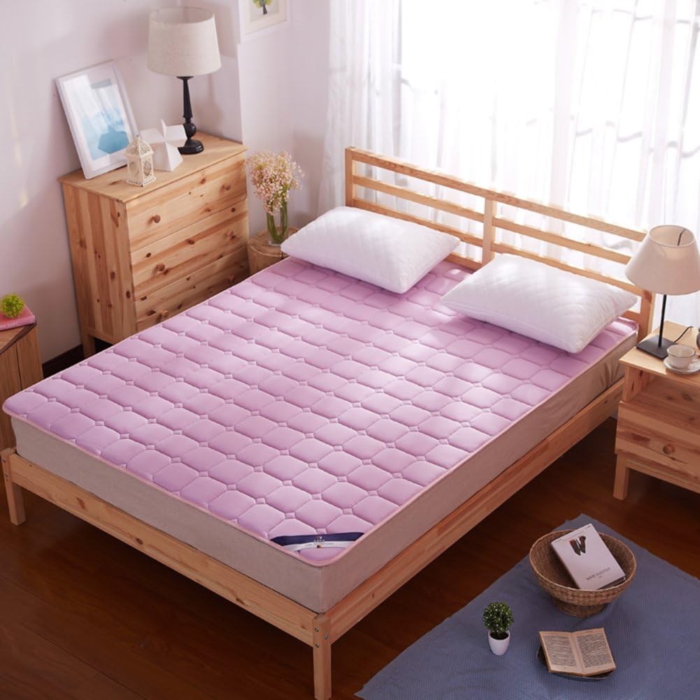 JKDHWOPSAJXGN Mattress/Moisture Wicking Bed mat/Tatami Mattress/Mattress Protection/Mattress-C 120x200cm(47x79inch)