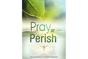 Pray or Perish (Prayer Power Series Book 27)
