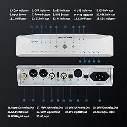 Musician Pegasus R2R DAC Decoder DSD1024 PCM1536