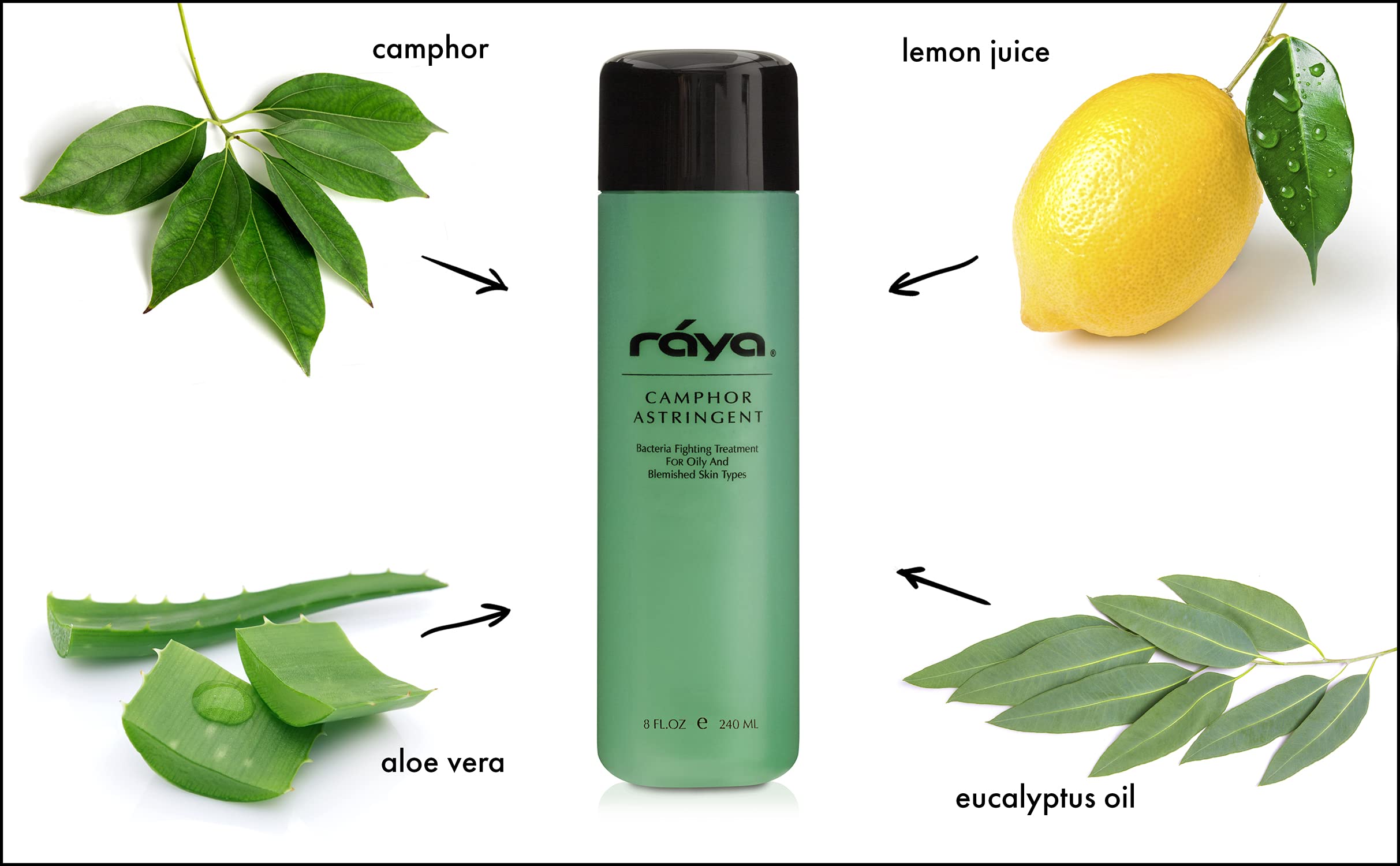 RAYA Camphor Astringent (204) - Facial Toner for Oily and Break-Out Skin, Dries Up Blemishes and Controls Excessive Oiliness, Made with Camphor and Eucalyptus, Skin Essence for Acne Prone Skin, 8 oz