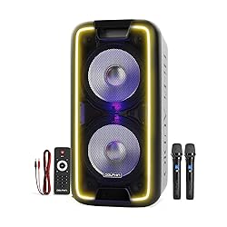 Dolphin 1000W Karaoke Party Speaker with 2 Wireless