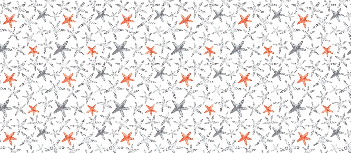 d-c-fix Oilcloth Tablecloth PVC-Free Sea Starlets Washable Waterproof Indoor and Outdoor Oilcloth Plastic Tablecloth 220 cm x 150 cm Square