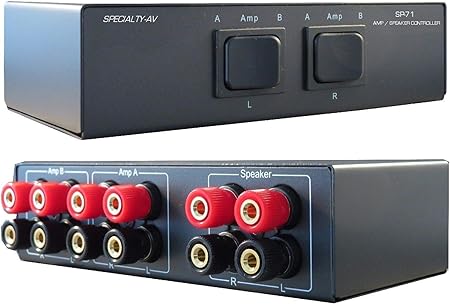 two amps one speaker switch