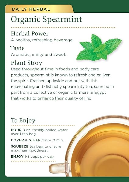 TRADITIONAL MEDICINALS ORGANIC, SPEARMINT TEA – SUPPORTS EVERYDAY WELLNESS, HEALTHY & REFRESHING – KOSHER, NON-GMO, CAFFEINE-FREE, COMPOSTABLE – 16 TEA BAGS