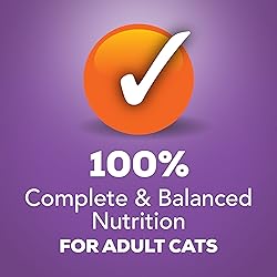 Purina Friskies Gravy Wet Cat Food, Shreds