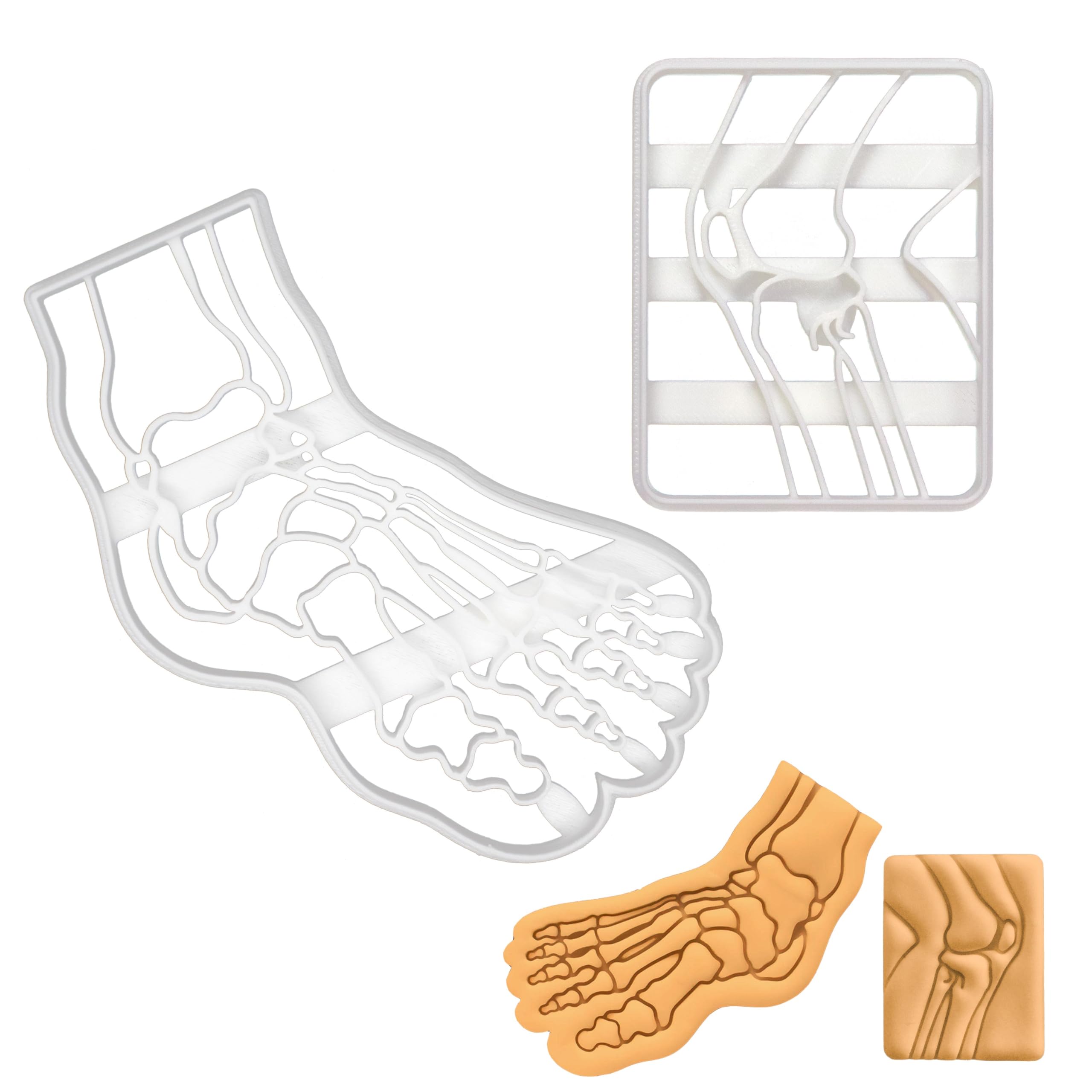 BAKERLOGY Set of 2 Knee and Foot Bone Cookie Cutters (Designs: Knee Bone X-Ray and Human Foot Bone X-Ray) - Detailed Biscuit Cutter Design for Baking and Crafts, Ideal on Fondant, Dough, Clay
