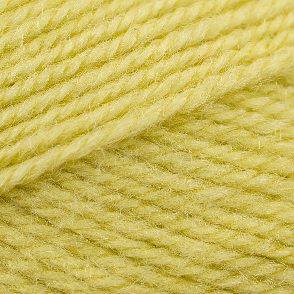 Stylecraft Life DK 100g (2356 Zing)