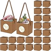 100pcs Succulent Wrap Bags Bulk Fits 2.5 Inch Pots with Thank You Stickers, Mini Kraft Paper Succulent Gift Box Basket with Handles for Wedding, Baby Shower, Succulent Plants Party Favors for Guests
